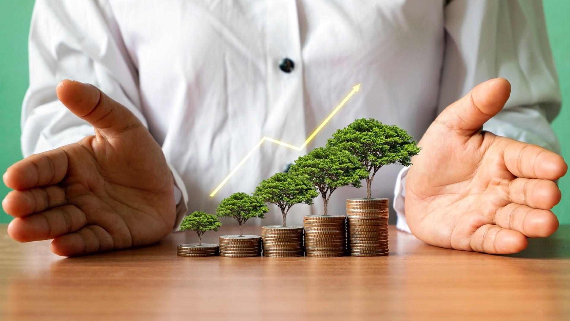 Мы предлагаем конкурентоспособные цены и различные модели финансирования