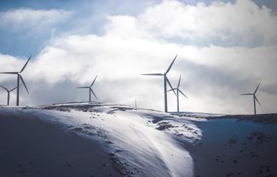 Экологические и экономические выгоды от перехода на возобновляемую энергетику для бизнеса